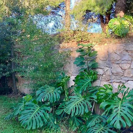 Casa Marinha Villa *
