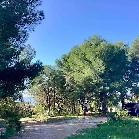 Casa Marinha *