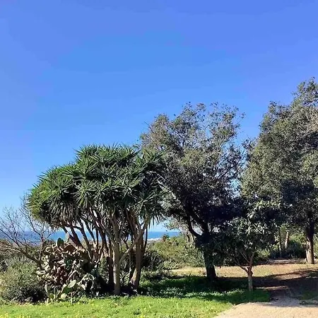 Casa Marinha